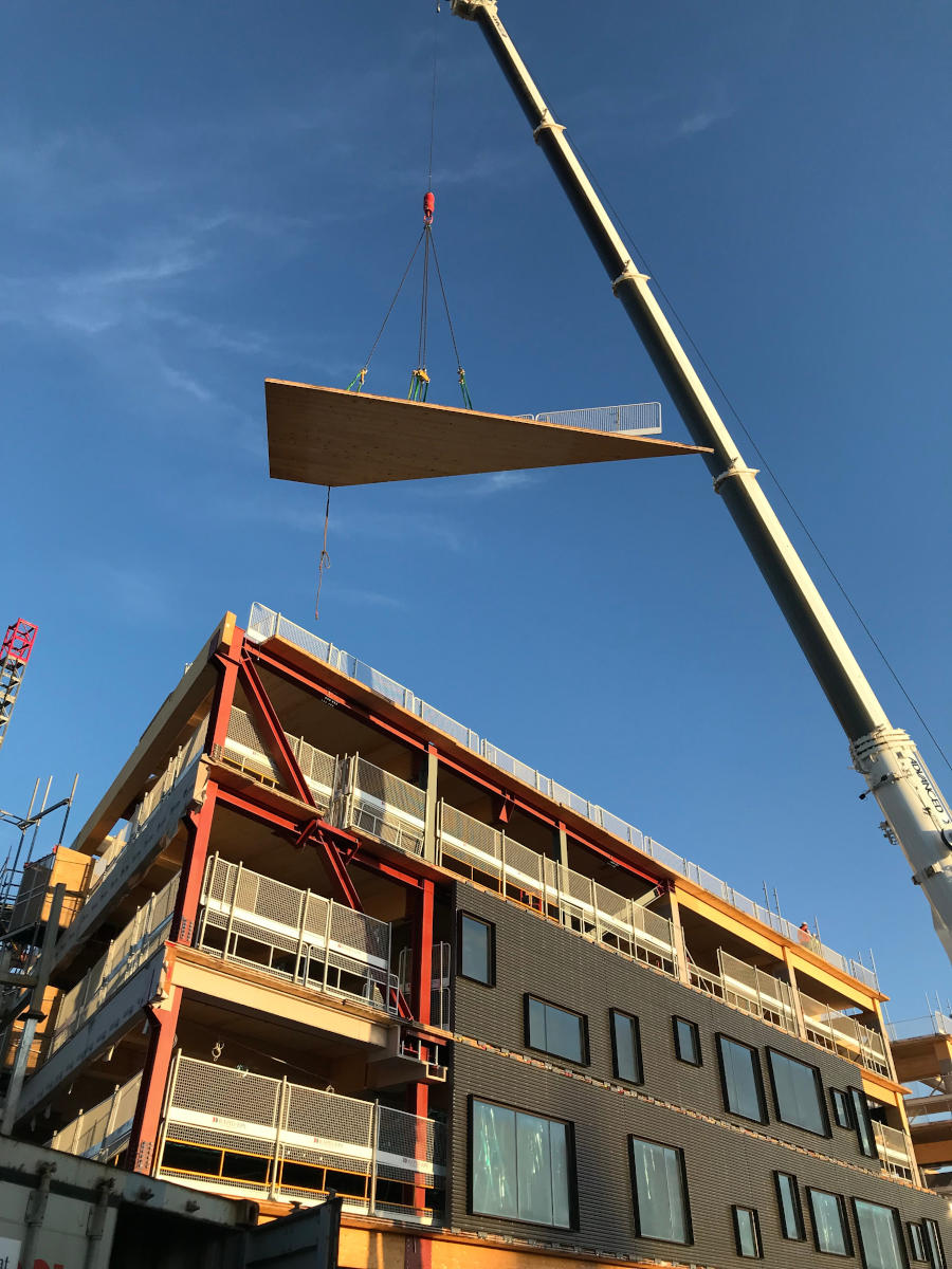 Angled engineered timber slab being lifted by crane onto fifth floor of building during construction